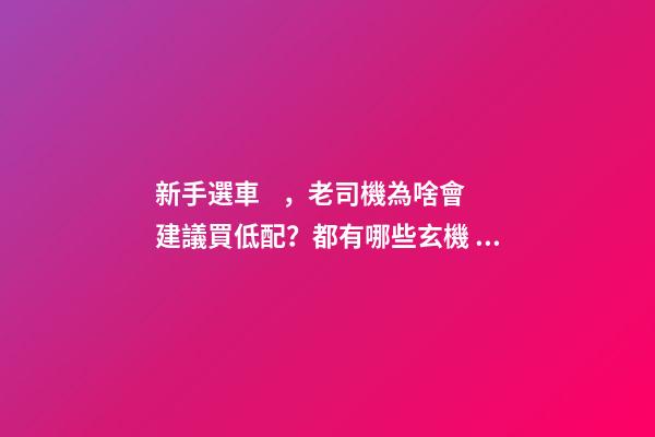 新手選車，老司機為啥會建議買低配？都有哪些玄機？